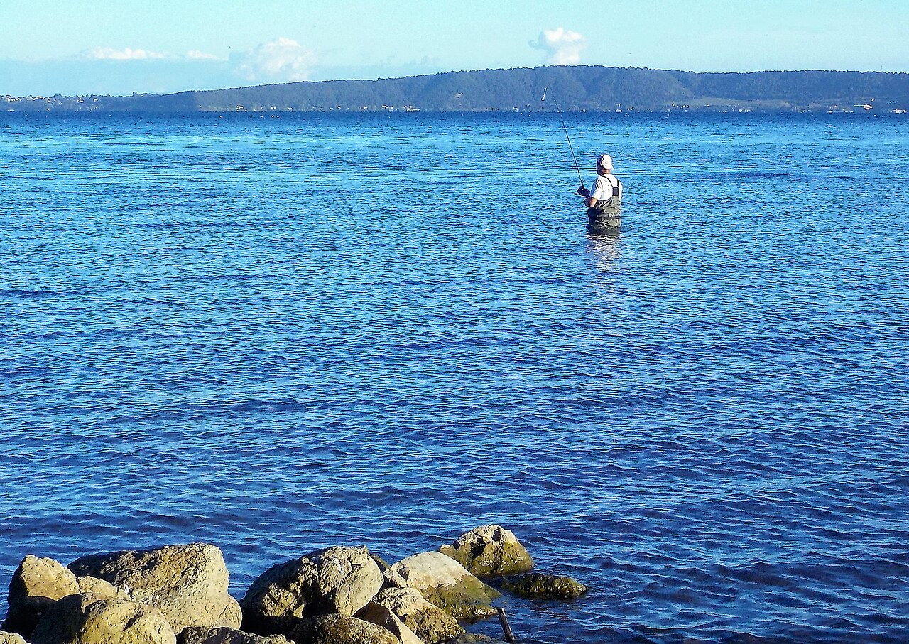 Pescar la lac cu undița